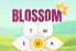 Blossom Word Game