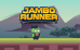 Run & Jump Jumbo Runner